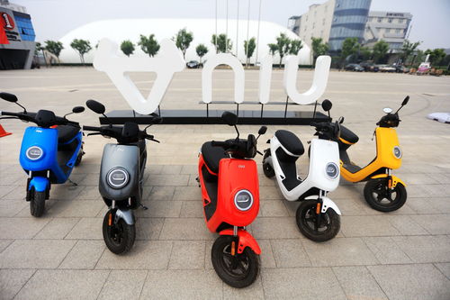 小牛踏足印度市場 中國電動車全球征戰再下一城