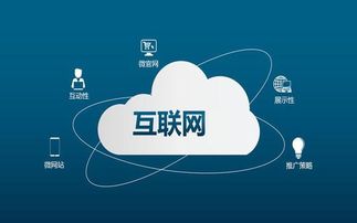 互聯(lián)網(wǎng)編程與網(wǎng)絡營銷 就業(yè)前景深度對比分析